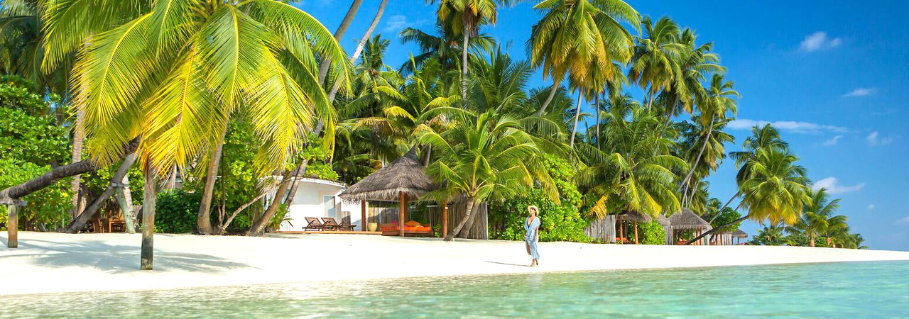 vilu reef beach and spa resort maldives&nbsp;