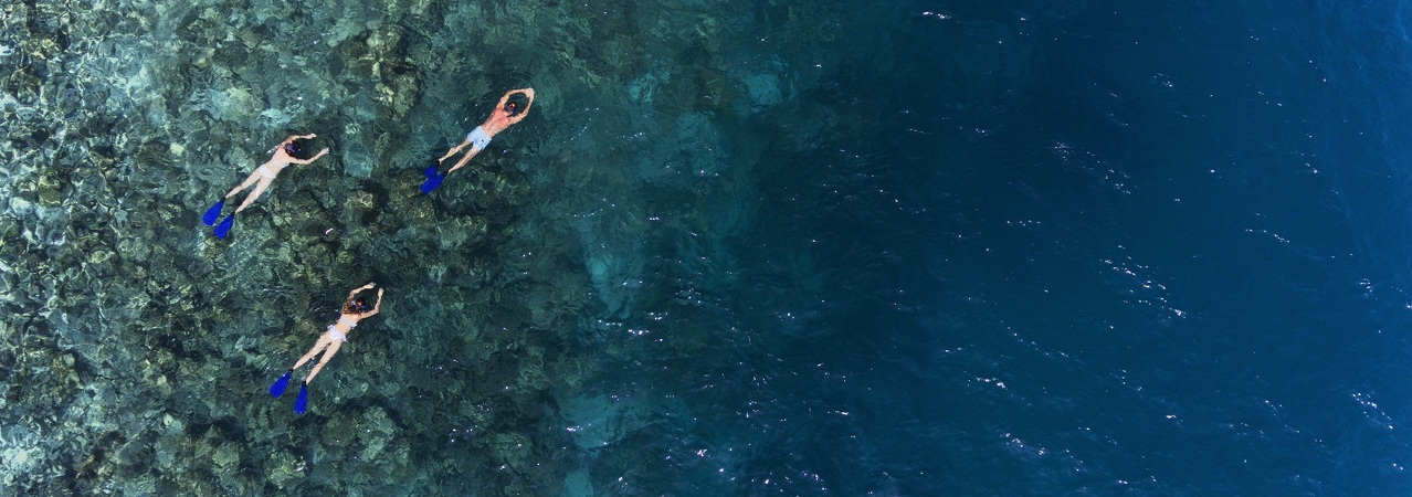 Vakkaru Maldives Snorkelling&nbsp;