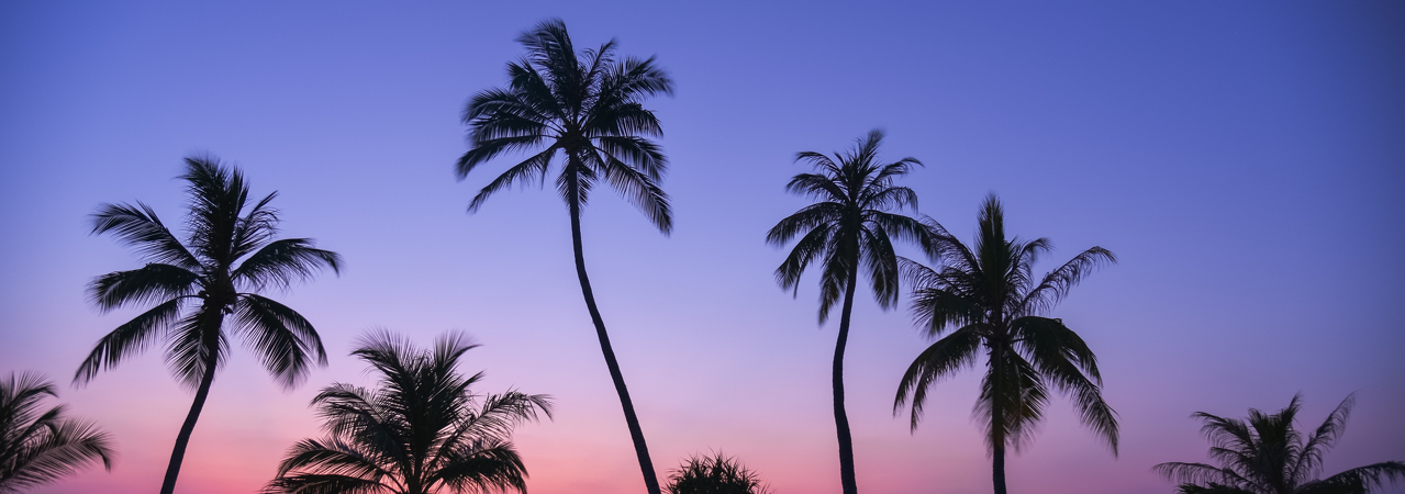 Velaa Private Island resort Maldives sunset palm trees