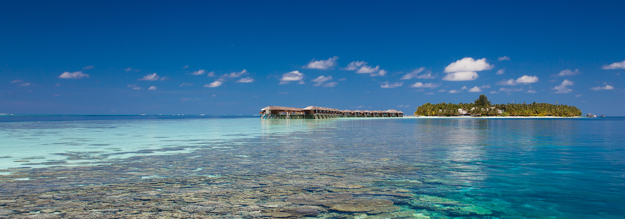 Vilamendhoo island resort maldives house reef snorkelling 1