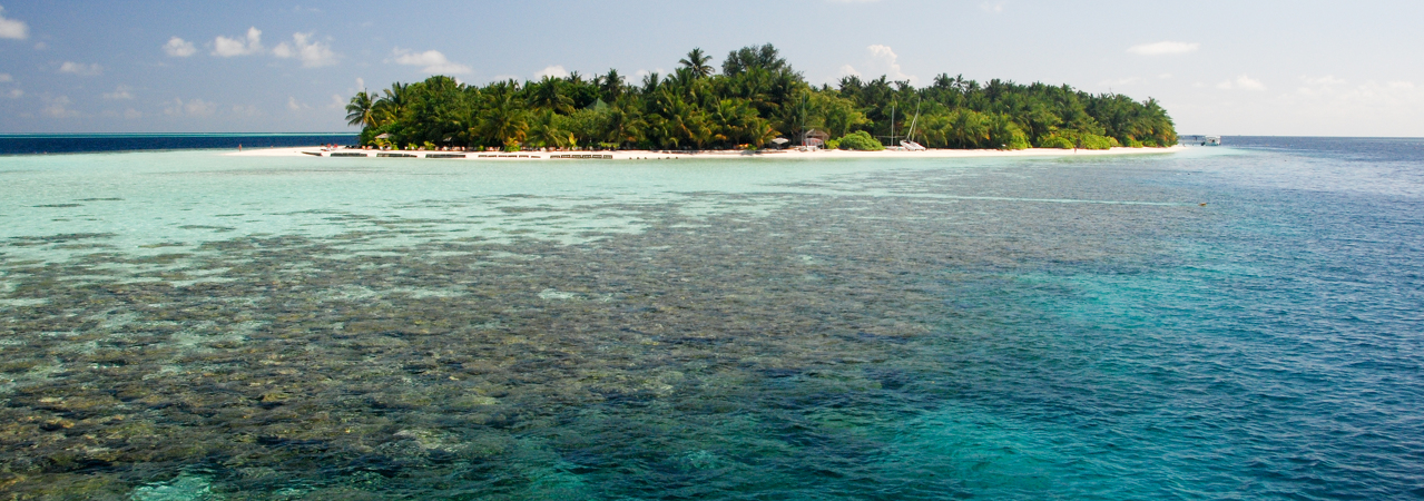 Vilamendhoo island resort maldives house reef snorkelling 5
