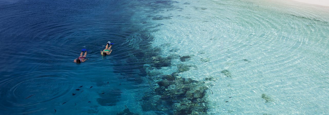 Vilamendhoo island resort maldives house reef snorkelling 4