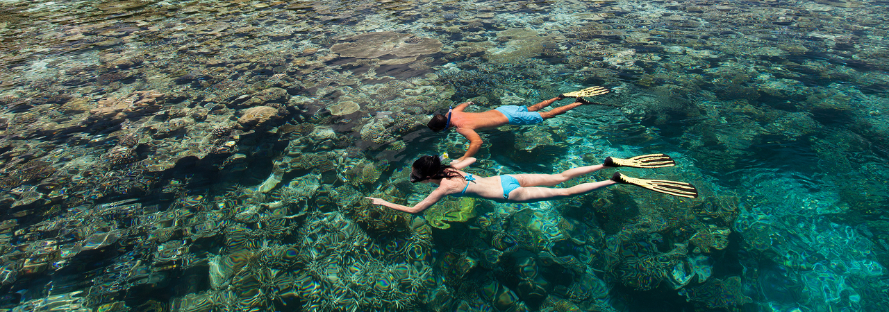 Vilamendhoo island resort maldives house reef snorkelling 3